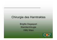 Chirurgie des Harntraktes