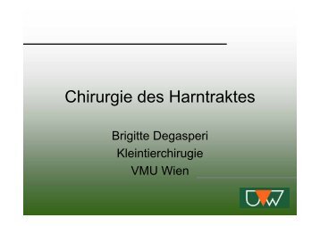 Chirurgie des Harntraktes