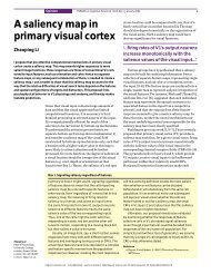 A saliency map in primary visual cortex. Tics 6:9-16