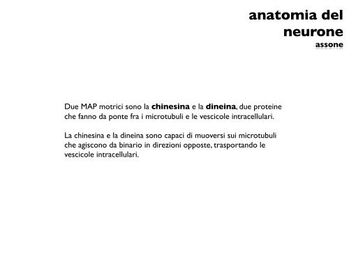 anatomia del neurone - CPRG