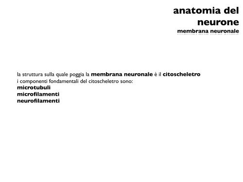 anatomia del neurone - CPRG