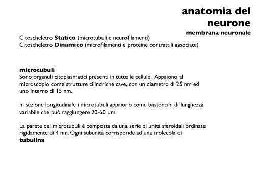 anatomia del neurone - CPRG