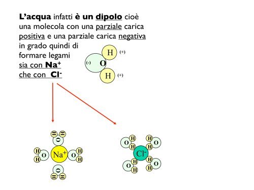 Il potenziale di membrana - CPRG