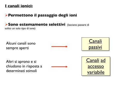 Il potenziale di membrana - CPRG