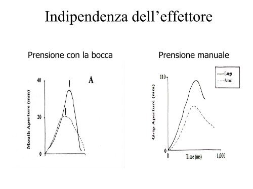 Sistema sensorimotorio 1 - CPRG