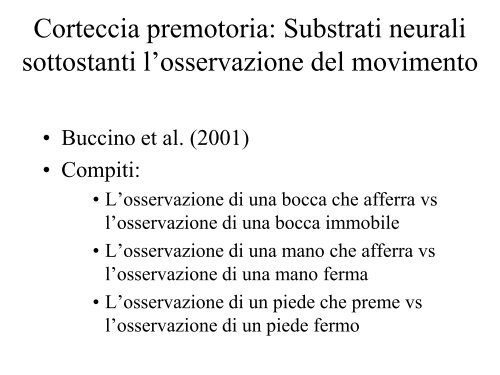 Sistema sensorimotorio 1 - CPRG