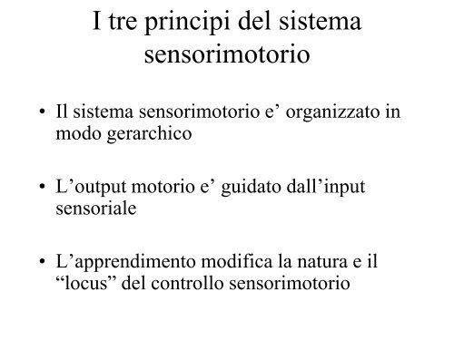 Sistema sensorimotorio 1 - CPRG