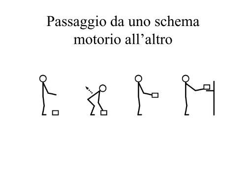 Sistema sensorimotorio 1 - CPRG