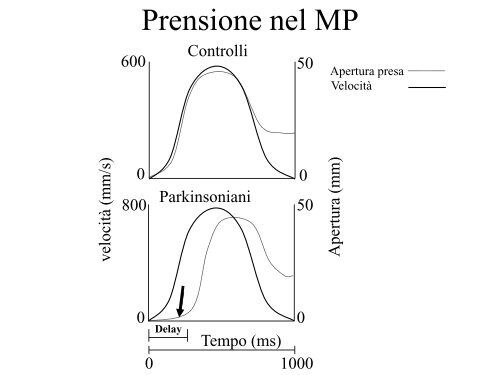 Sistema sensorimotorio 1 - CPRG