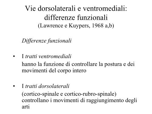 Sistema sensorimotorio 1 - CPRG