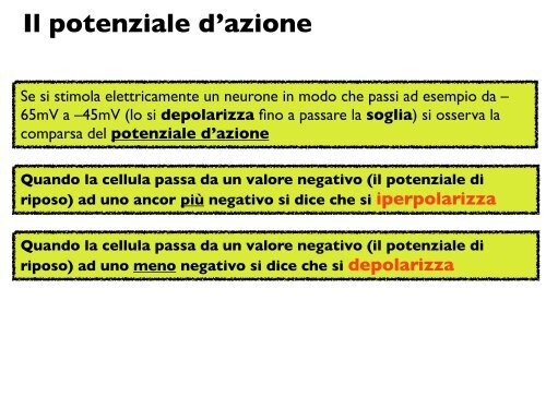 Il potenziale d'azione - CPRG