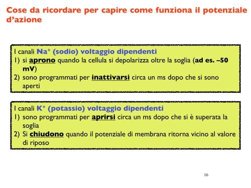 Il potenziale d'azione - CPRG