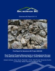 Report - Geoscience BC