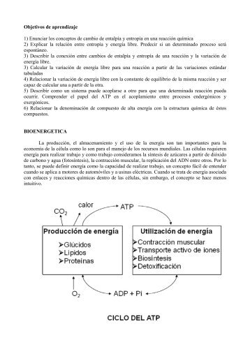 Formato PDF - FMV