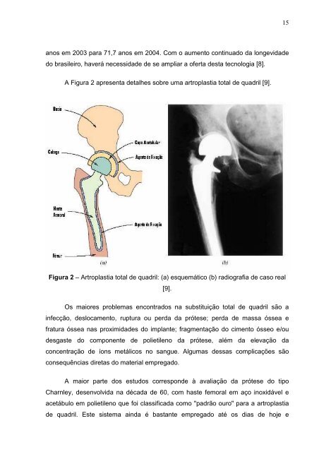 Monografia - DEMAR - USP