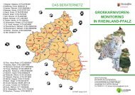 Faltblatt herunterladen - Landesforsten Rheinland-Pfalz
