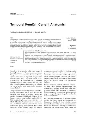 Temporal KemiÄŸin Cerrahi Anatomisi
