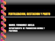 Fecundacion-Ges.. - Departamento de ProducciÃ³n Animal y Pasturas