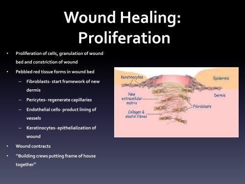 Advanced Wound Modalities Options for Complex, Chronic Wounds