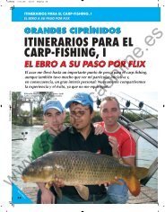 itinerarios para el carp-fishing, i itinerarios para el carp-fishing, i