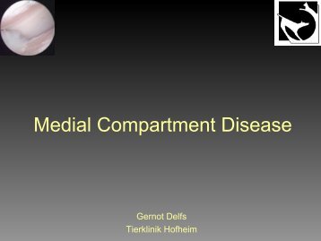 Medial Compartment Disease - Tierklinik Hofheim