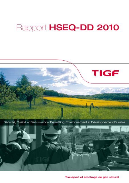 Rapport HSEQ-DD 2010 - Tigf
