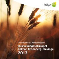 Verksamhetsbeskrivning 2013 - HushÃ¥llningssÃ¤llskapet Kalmar ...