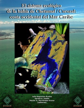 El Sistema EcolÃ³gico BahÃ­a de Chetumal / Corozal: Costa ... - Treemail