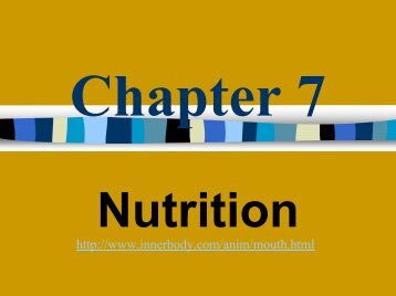 Chapter 7