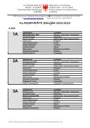 KlassenrÃ¤te MS 2012-13