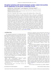 All-optical switching with bacteriorhodopsin protein coated ...