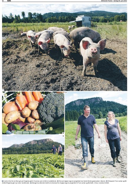 BÃK Ãstlands-Posten â lÃ¸rdag 30. juni 2012 18 1 Livet er bra for en ...
