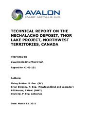 technical report on the nechalacho deposit, thor lake project ...