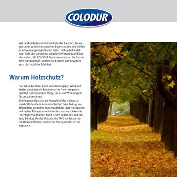 Warum Holzschutz? - Colodur