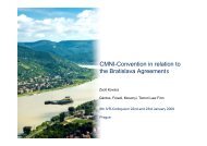 CMNI-Convention in relation to the Bratislava Agreements - IVR