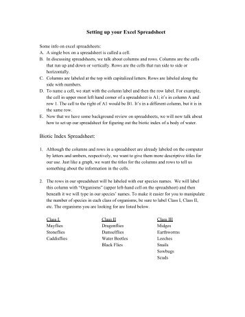 Setting up your Excel Spreadsheet Biotic Index Spreadsheet: