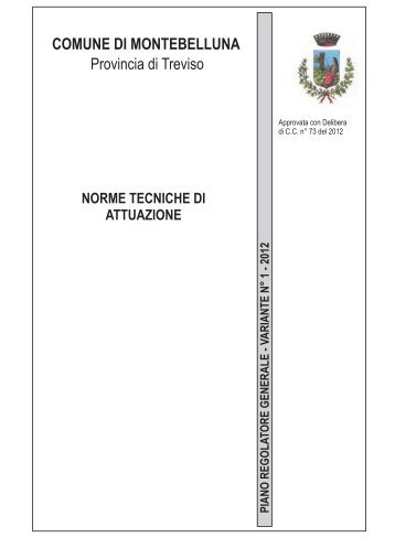Norme Tecniche - Comune di Montebelluna