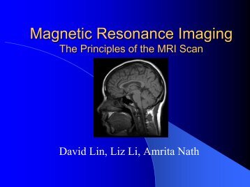 Magnetic Resonance Imaging, by David Lin, Liz Li, amd Amrita Nath