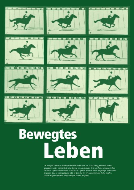 Lebenslinien - Natur in Bewegung - Welt der Physik