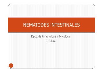 NEMATODES INTESTINALES