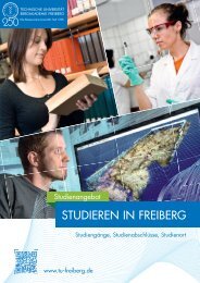 STUDIEREN IN FREIBERG