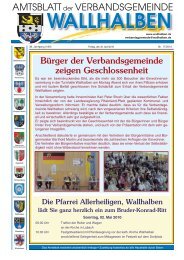 Verbandsgemeinde Wallhalben