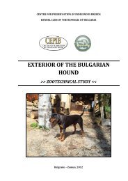exterior of the bulgarian hound >> zootechnical study