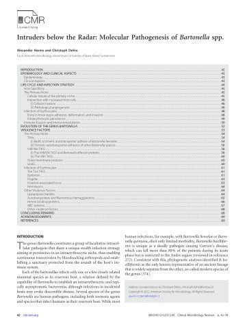 Intruders below the Radar: Molecular Pathogenesis of Bartonella spp.