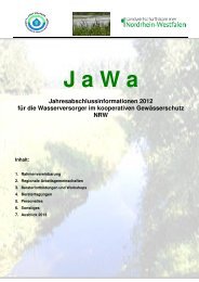 PDF, 121 KB - bei der DVGW-Landesgruppe Nordrhein-Westfalen