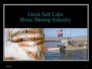 Brine Shrimp Industry - Great Salt Lake Advisory Council