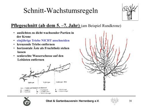 PDF Datei 2.3MB - Obst-und Gartenbauverein Herrenberg e.V.