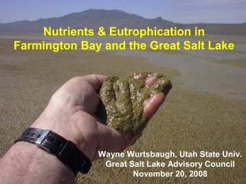 Farmington Bay and Nutrients Presentation: Wayne Wurtsbaugh ...