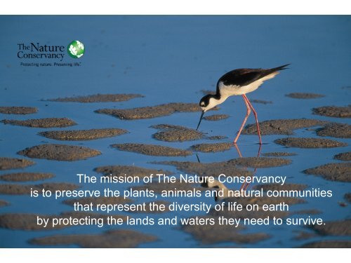 The Nature Conservancy Presentation - Great Salt Lake Advisory ...