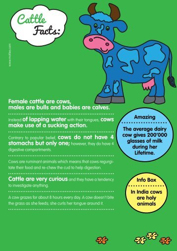 cow facts - Motlies